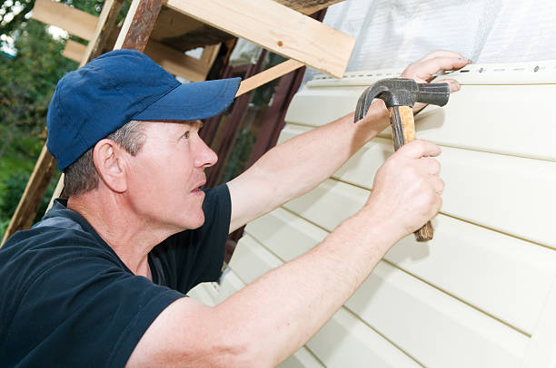 Best Basement Cleanout  in Markham, IL